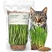 Organic Wheat Grass Seeds, Cat Grass Seeds, 16 Ounces- 100% Organic Non GMO - Hard Red Wheat. Harvested in The US. Easy to Grow.