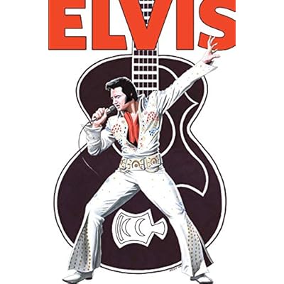 Rock and Roll Comics: Elvis Presley Experience: Special Hard Cover Edition