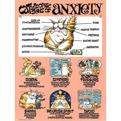 Catastrophic Signs of Anxiety Motivational Poster Art Print Poster Print, 18x24