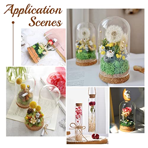 Image of BENECREAT 20 Pack 40ml Glass Jars Bottles Decoration Bottles with Cork Stoppers for Party Favors, Arts, Small Projects and DIY Decorations