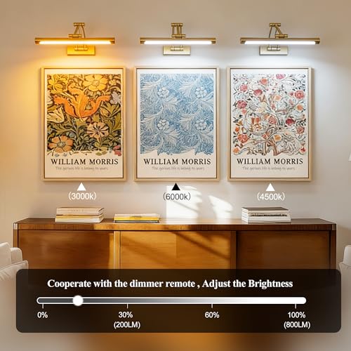 Image of ZitoStory Picture Lights for Wall Battery Operated, (Gold, 24in) Rechargeable Art Light for Painting,Modern wall Lights for Pictures,Dimmable Gallery Artwork Lights for Pictures On Wall