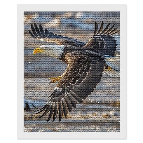 Peinture diamant à offrir kit complet de broderie strass cadeau idéal pour amateurs d'artisanat