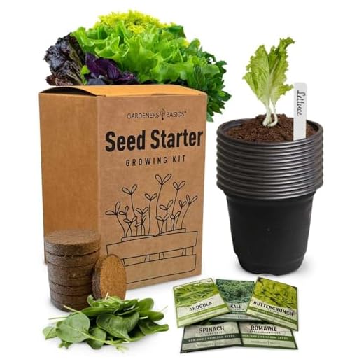 Beginner Indoor Garden Lettuce Kit - Includes Romaine, Buttercrunch Lettuces, Spinach, Arugula, and Kale Heirloom Seeds, Pots, Soils and Plant Markers - Complete Indoor Vegetable Garden Starter Kit