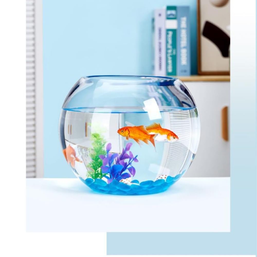 Amazon | Bxzzuis 卓上ガラス水槽、水族館、リビングルーム