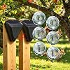 B-Bird Deterrents Set