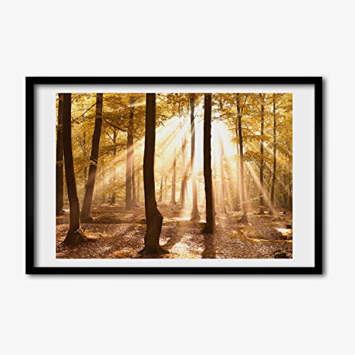 Cadre en bois Tulup Foret D'automne pour sublimer le design de votre salon