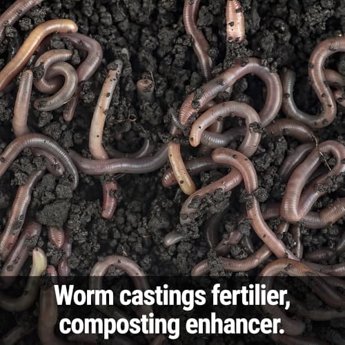 Seedlingers Worm Magic 40 Pounds Granulado miniatura 4