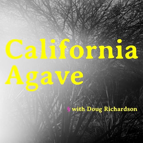 California Agave
