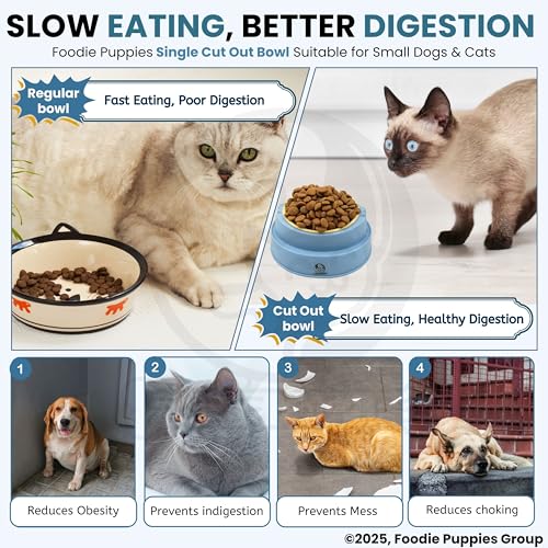 Image of Foodie Puppies Cat Food Bowl, Tilted Food or Water Bowl for Cats and Small Dogs - (Single CutOut Bowl, 350ml), Anti Vomiting, Healthy Cat Bowl for Persian Cat Prevent Tipping Over Plastic Feeding Bowl