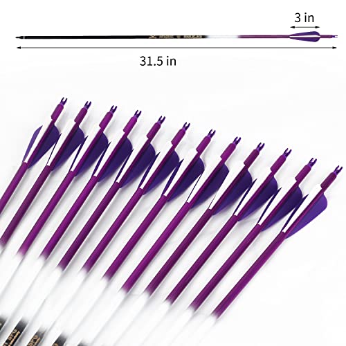 Fenjaner Archery 30 Inch Carbon Arrows Fluorescence Color Targeting And Practice And Hunting Arrows With Detachable Tip For Recurve Bow And Compound Bow(Pack Of 12) (Purple) #TOP3
