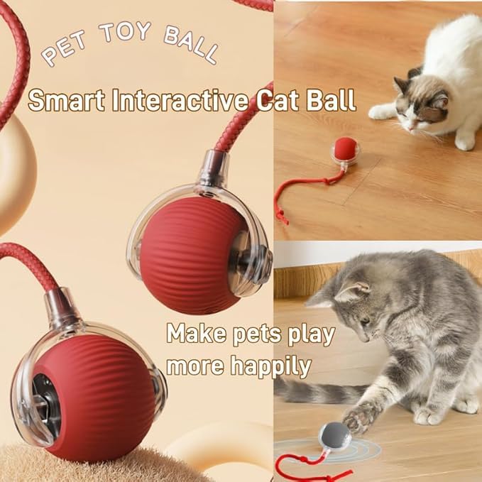2025 New Interactive Rolling Dog Ball, Self Rolling Dog Ball Interactive Cat Toys Automatic Cat Toy Self Moving Dog Toys, 360° Smart Automatic Rolling Ball Toy Electric Dog Balls for Dog/Cat (Red) - Image 3