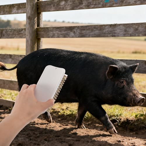 Hängende Pflegebürste für Minischweine Selbstreinigend 2 Stück