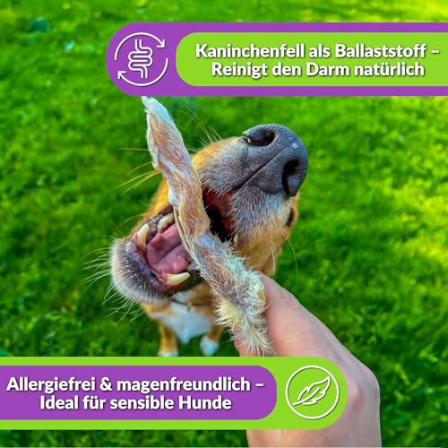 Naturbiss Hasenohren mit Fell für Hunde – 20 Stück - Barf Leckerli Hypoallergen Kausnack für Zahnpflege, Kaninchenohren 100% Natürlich - Welpen, Senioren – Trockenbarf für Hund