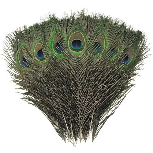 YSJCHEBS 25 Uds Plumas De Pavo Real Decoración del Hogar Materiales Artesanales DIY Decoraciones De Plumas Decoraciones Creativas