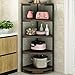 Bakaji Scaffale Angolare 5 Ripiani Struttura in Metallo Piani in Legno Libreria Scaffalatura ad Angolo Multiuso Mobiletto Cucina Bagno Dimensione 40 x 40 x 120 cm design Moderno industriale (Nero)