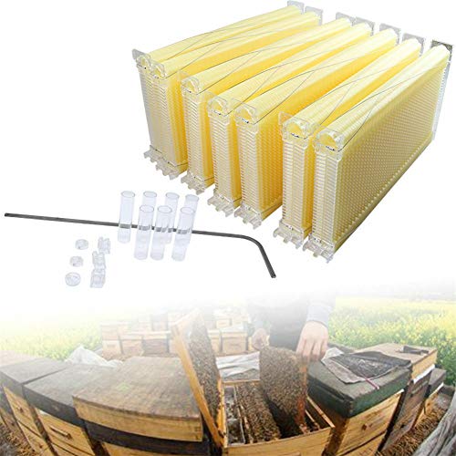 7 panales producción de miel automática colmena, apicultura Hive Beehive Frame con 7 piezas Mobile Frames