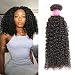 ISEE Hair Virgin Malaysian Deep Curly Jerry Curly Human Hair 3 Bundles,100% Unprocessed Human Curly Hair Extensions Natural Black Can Be Dyed 14 16 18inches