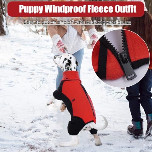 Pull confortable pour chiot idéal pour les balades glacées - 7