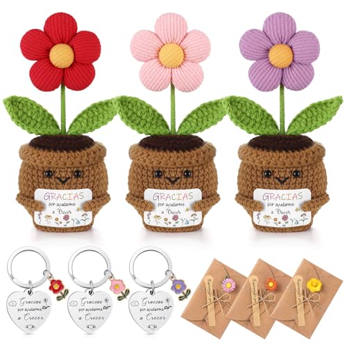 Jetec 3 Sets Regalos para Profesores Maestros Llaveros Flores de Ganchillo Tarjetas de Felicitación Regalo de Agradecimiento para Profesora Infantil Despedida Educadores Fin de Curso Cumpleaños