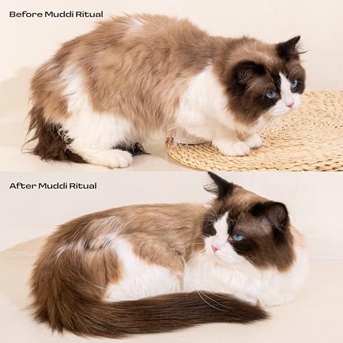 Cat Rinse-Free Towel Cleanse Shampoo & Conditioner with Bath Mitt – Sensitive Skin, Stress & Itch Relief Gentle Leave-in Serum – 98.65% Naturally Derived, Hydrate & Deodorize – 8 × 10ml - Image 4