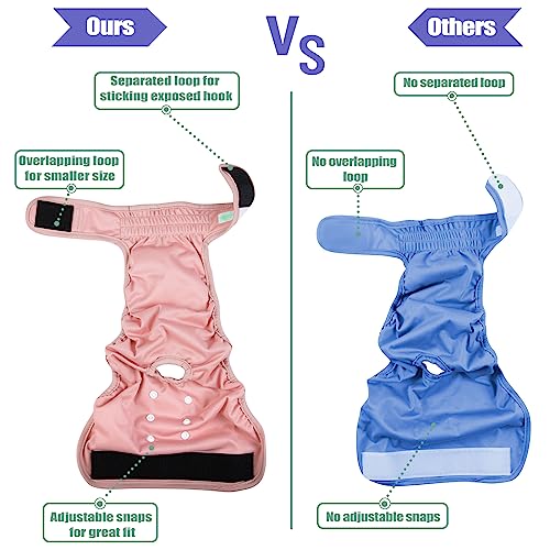 Image of wegreeco Washable Dog Diapers Female Highly Absorbent Reusable Diapers for Doggie in Heat Dog Period for Heat Cycle, 3 Pack (XX-Large