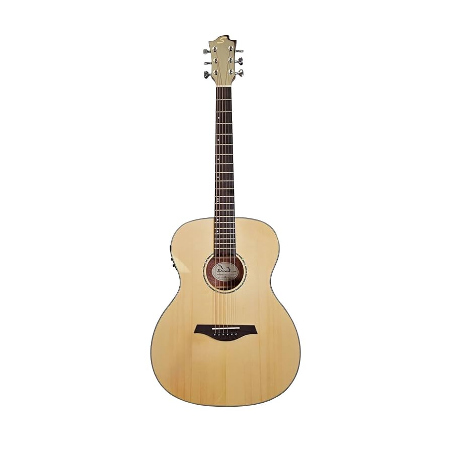 Amazon.co.jp: Sevinia エレクトロアコースティックギター