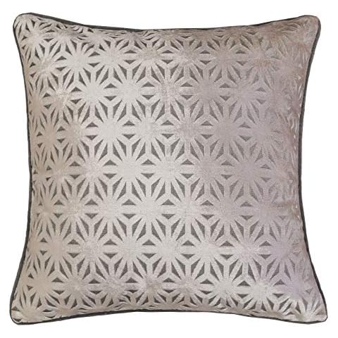 Homey Cozy Modern Velvet Throw Pillow Cover, Gray Luxury Elegant Geometric Soft Fuzzy Cozy Warm Slik Decorative Square Couch Cushion Pillow Case 20 x 20 Inch, Cover Only Cover