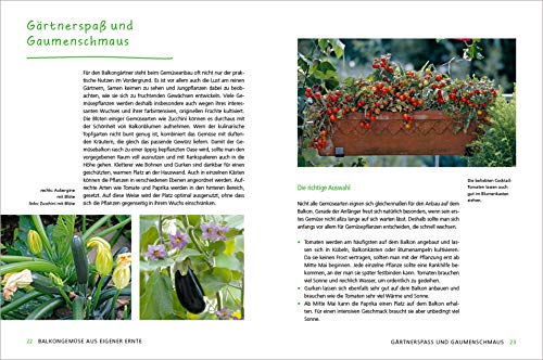 Alles Bio vom Balkon. Obst, Gemüse und Kräuter selber ziehen.: Große Ernten auf kleinster Fläche mit den richtigen Sorten und Pflanzgefäßen, ... Alles für den nachhaltigen Naschbalkon - 3