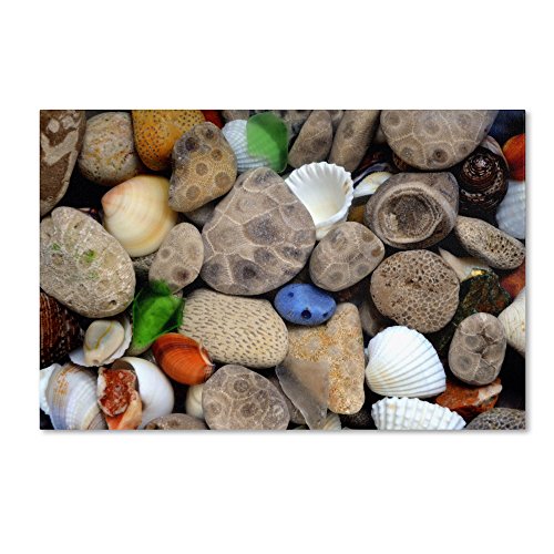 Trademark Fine Art Petoskey Stones lll by Michelle Calkins Wall