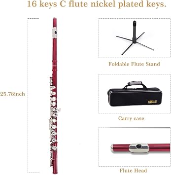 Red C Flute Closed Hole 16 Keys Flute Nickel-Plated for Beginner, Student and Professionals with Carrying case, Metal stand, Gloves, Tuning Rod, Cleaning kit(Red)
