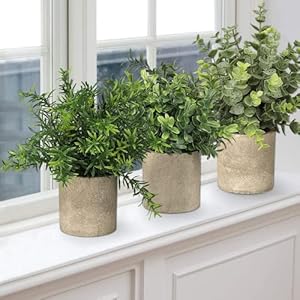 Velener Artificial Potted Rosemary Plants- Rustic Farmhouse Topiary Shrubs for Decoration Centerpieces Living Room, Shelf Bedroom Aesthetic Green Bathroom Accessories Boho Small Desk Plant Office Velener Artificial Potted Rosemary Plants Rustic Farmhouse Topiary Shrubs for Decoration Centerpieces Living Room Shelf Bedroom Aesthetic Green Bathroom Accessories Boho Small Desk Plant Office
