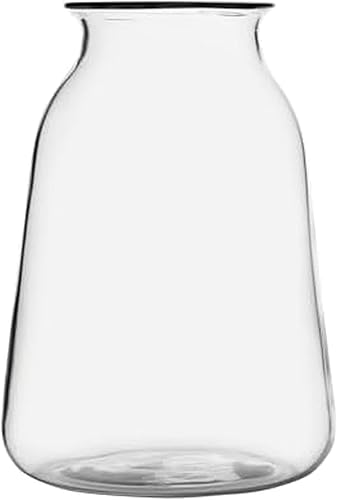 Elements Jarrón de vidrio para botella de leche, para uso con flores secas o sintéticas y vegetación, 8.7 x 8.7 x 12.2 pulgadas, transparente
