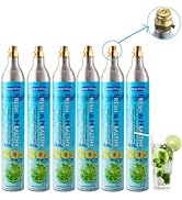 Amazon.com: GreatWhip 60L CO2 Cylinder For Sodastream, Exchange