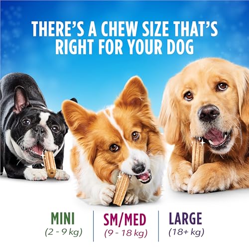 DentaLife Daily Oral Care Dog Treats for Mini Breed Dogs - 485 g Pouch (1 Pack) image 1