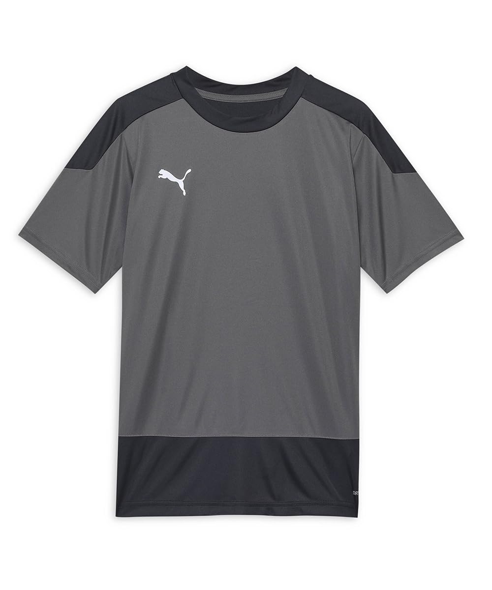 Puma Junior Teamgoal 23 Ss Training Shirt Grey