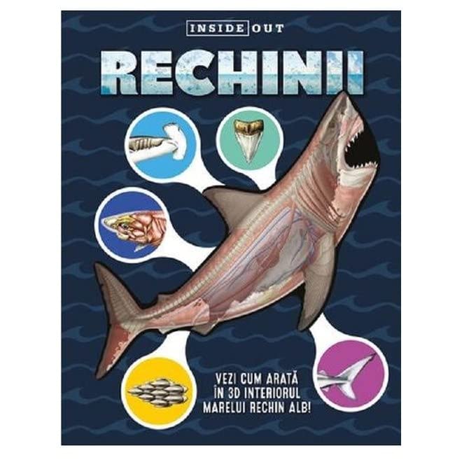 Rechinii. Inside Out