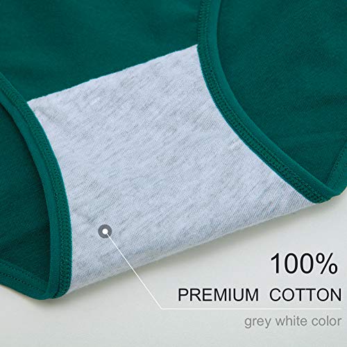 Image of INNERSY Womens Underwear Cotton Hipster Panties Regular & Plus Size 6-Pack