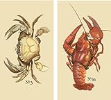 HomArt Large Decorative Nautical Crusta Matches