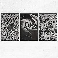 SIGNWIN 3 Piece Framed Canvas Wall Art Black and White Flower Canvas Prints Home Artwork Decoration for Living Room,Bedroom - 16