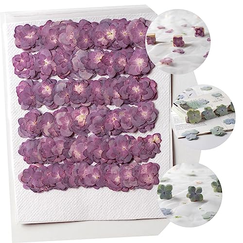 SOLUSTRE 30 flores prensadas secas para manualidades miniatura 5
