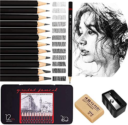 Temperamatite a Punta Lunga, Punte Regolabili a Manovella Temperamatite Manuale Temperamatite da Disegno per Matite Artistiche Disegno Schizzi Matite a Carboncino Forniture per Artisti
