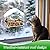 Outdoor Window Bird Feeder for Cats Viewing - Clear Bird Feeder with Strong Suction Cup, Cat Perch Accessories for Entertaining Watching, S