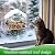 Outdoor Window Bird Feeder for Cats Viewing - Clear Bird Feeder with Strong Suction Cup, Cat Perch Accessories for Entertaining Watching, S