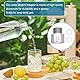 VCRANONR CO2 Zylinder Adapter Wiederverwendbar Soda Zylinder Adapter Aluminium Aquarium Zylinder Adapter für Soda-Zylinder Stecker TR21 4 bis W21.8 CO2 Tank Regulator für Aquarien/selbstgebrautes Fass
