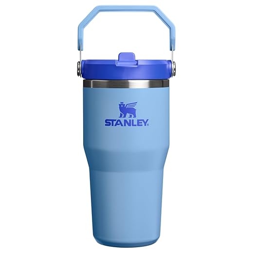 STANLEY IceFlow 2.0 Flip Straw Tumbler with Handle 20 oz | Twist On Lid and Flip Up Straw | Leakproof Water Bottle | Insulated Stainless Steel | BPA-Free | Blue Sky