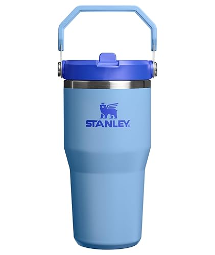 STANLEY IceFlow 2.0 Flip Straw Tumbler with Handle 20 oz | Twist On Lid and Flip Up Straw | Leakproof Water Bottle | Insulated Stainless Steel | BPA-Free | Blue Sky