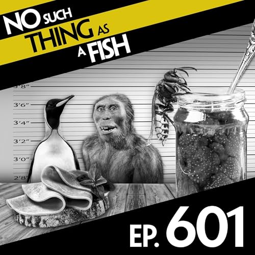 601: No Such Thing As Sausage By Chanel Podcast Por arte de portada