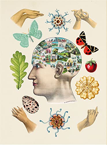 The Antiquarian Sticker Book: Over 1,000 Exquisite Victorian Stickers