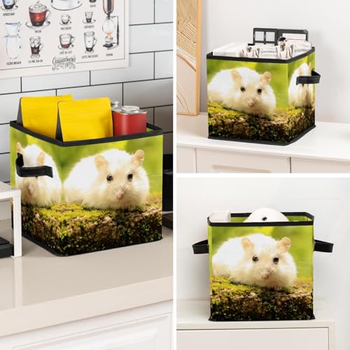 Placard encombré ? Découvrez notre boîte de rangement pliable blanche - 8