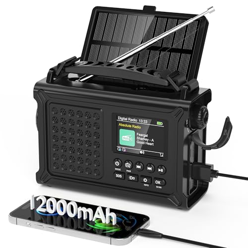 Kurbelradio DAB/UKW, Tragbare Solar Notfallradio mit 12000mAh Wiederaufladbare Powerbank, 2,4 'großes Farbdisplay, LED Taschenlampe & Leselicht, DAB+ Baustellenradio mit Bluetooth & SOS für Wandern